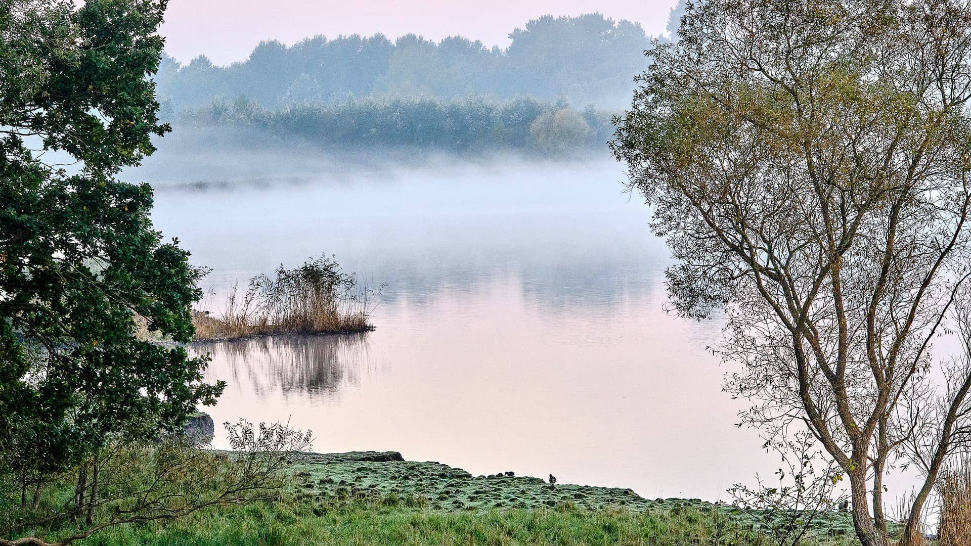Schellbruch ©Image by Anna Sander