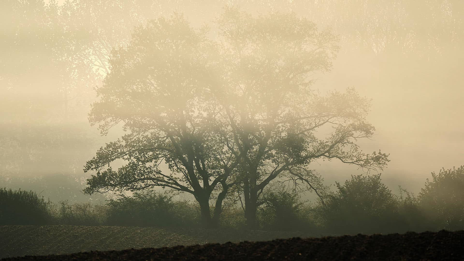 Landschaft ©Image by Anna Sander