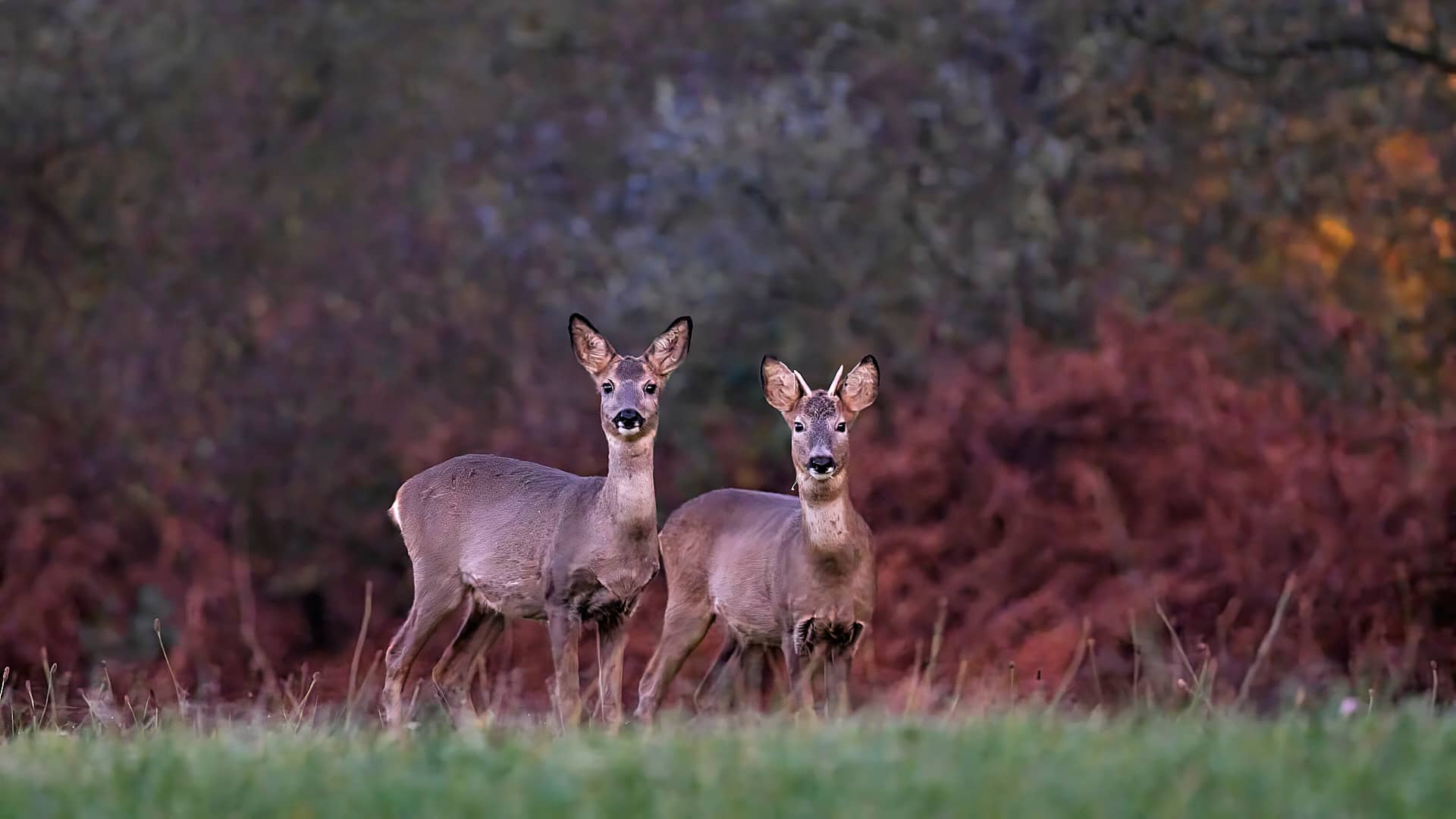 Schellbruch ©Image by Anna Sander